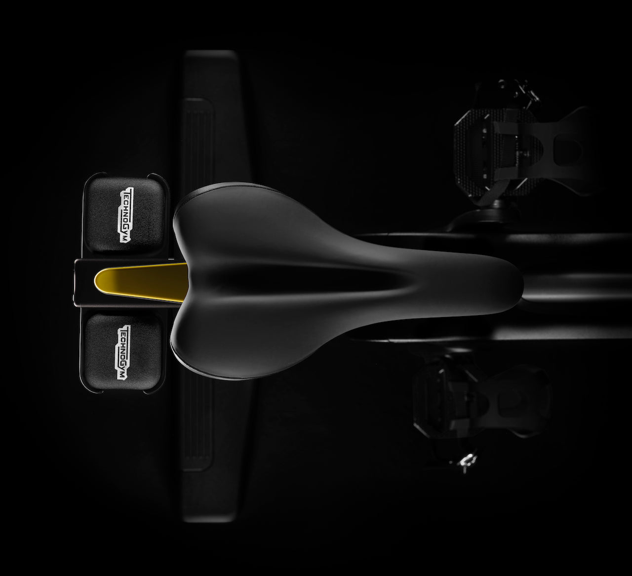 Technogym Bike
